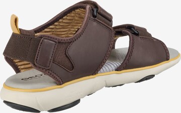 Sandales GEOX en marron