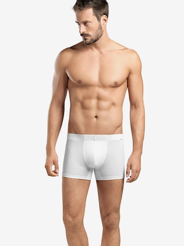 Hanro Boxer shorts ' Cotton Essentials ' in White: front