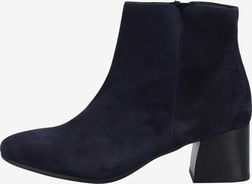 Paul Green Ankle Boots in Blue