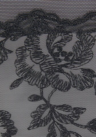 String LASCANA en noir