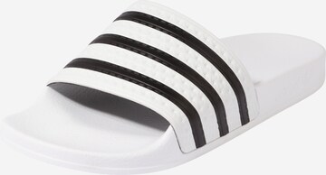 Mule ADIDAS ORIGINALS en blanc : devant