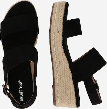 ABOUT YOU Sandals 'Lynn' in Black