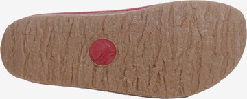 HAFLINGER Slippers 'Torben' in Red