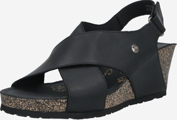 PANAMA JACK Sandals 'Valeska' in Black: front