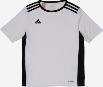 T-Shirt fonctionnel 'Entrada 18' ADIDAS PERFORMANCE en blanc : devant