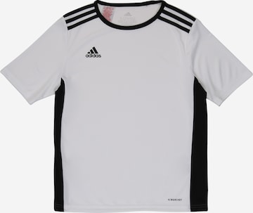 ADIDAS PERFORMANCE Functioneel shirt 'Entrada 18' in Wit: voorkant