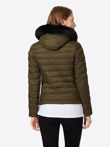 Superdry Jacke 'Fuji' in Grün: zadná strana