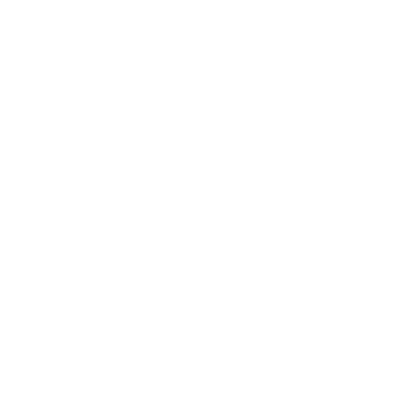 Mitchell & Ness Logo