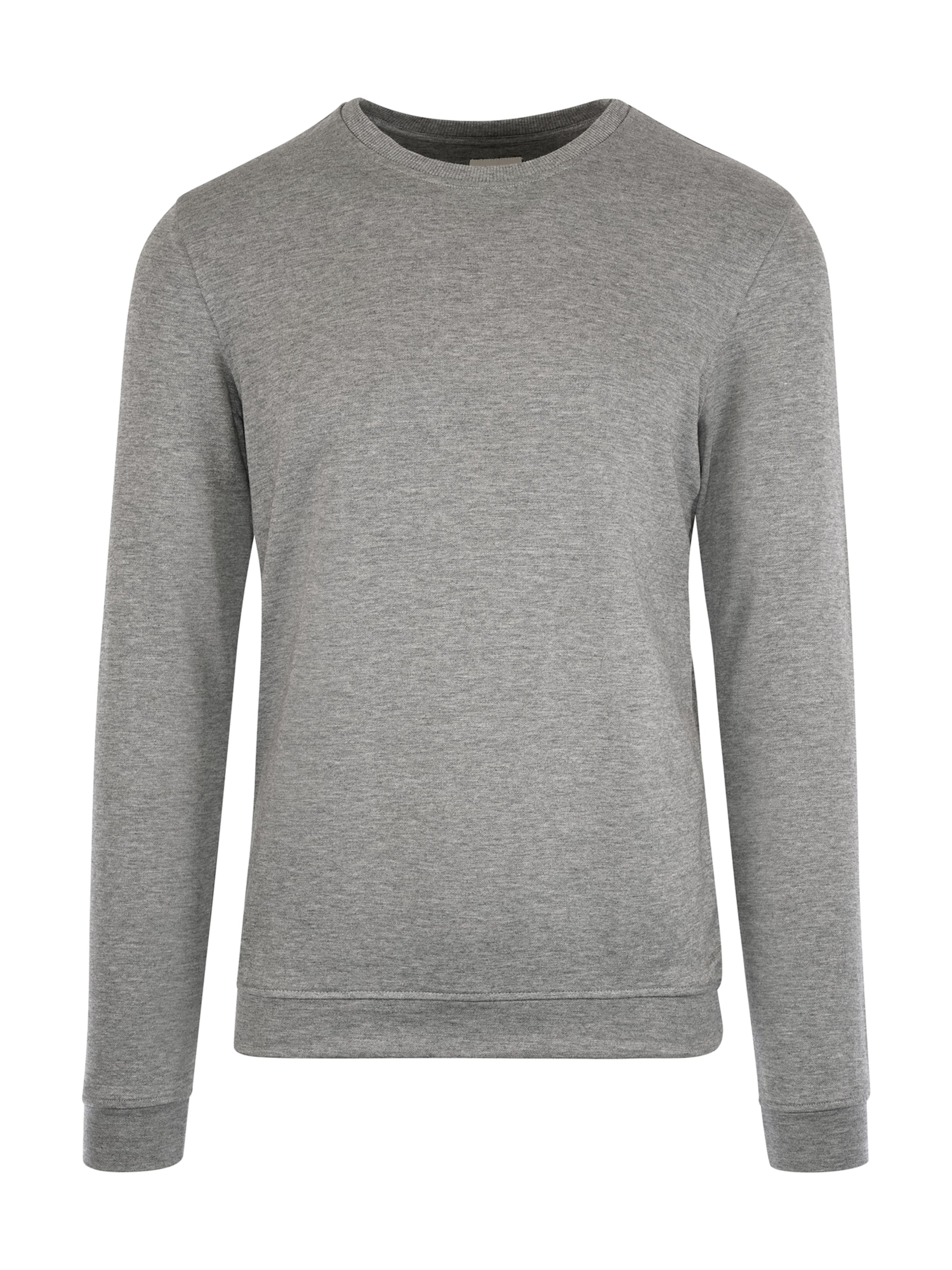 JBS OF DENMARK Свитшот в Серый: спереди