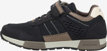 Baskets GEOX en bleu