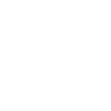 BLKVIS Logo