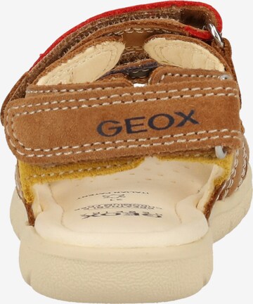 Chaussures ouvertes GEOX en marron