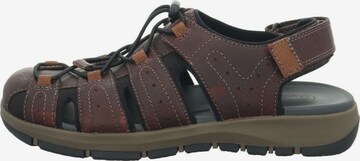 CLARKS Hiking Sandals in Brown