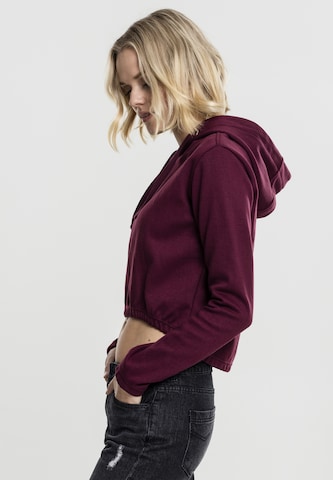 Sweat-shirt Urban Classics en violet