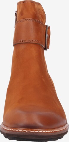 Paul Green Ankle Boots in Brown