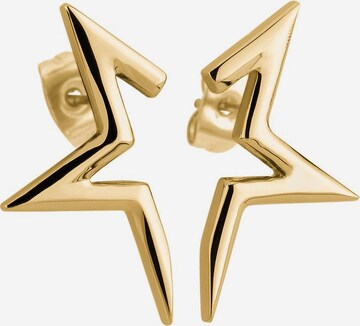Liebeskind Berlin Earrings 'Stern' in Gold: front
