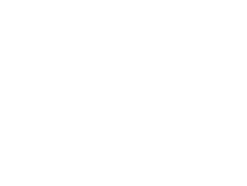ABOUT YOU x Alina Eremia Logo