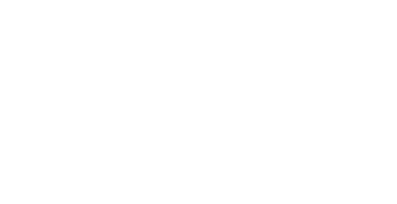 TRIUMPH Logo