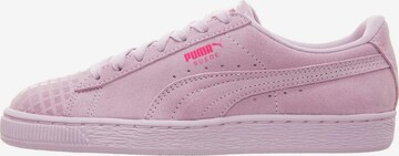 Baskets basses 'Suede Classic Street' PUMA en rose