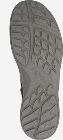 ECCO Sportovní šněrovací boty 'Terracruise' – šedá
