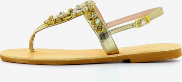 EVITA Damen Sandale in Gold