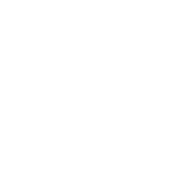 Flexfit Logo
