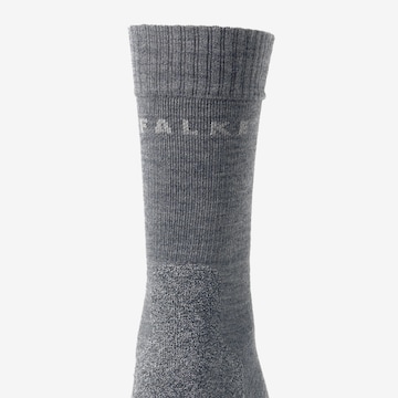 FALKE Športne nogavice | siva barva