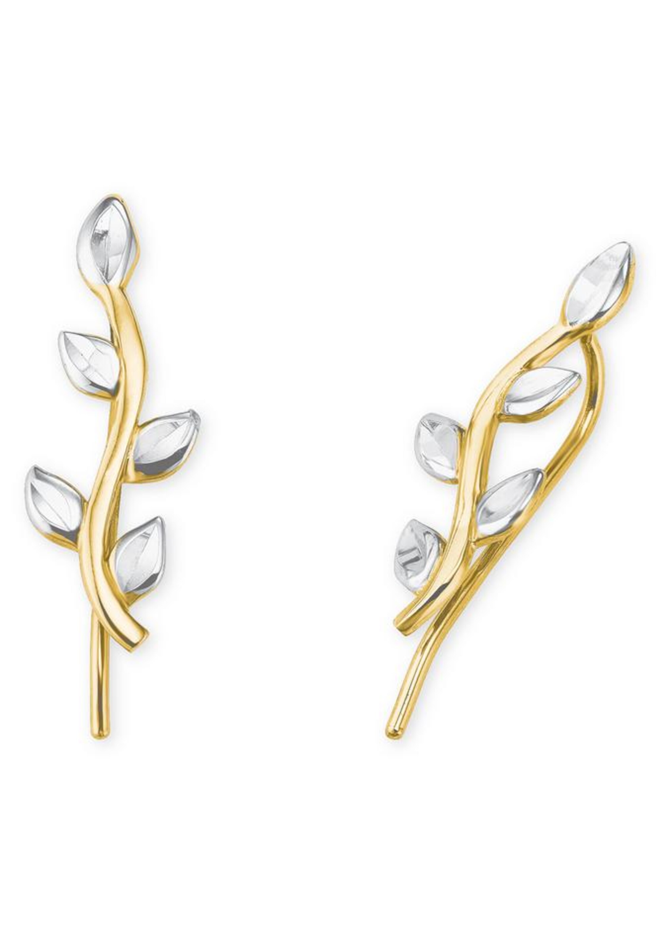 AMOR Earrings in Gold: front