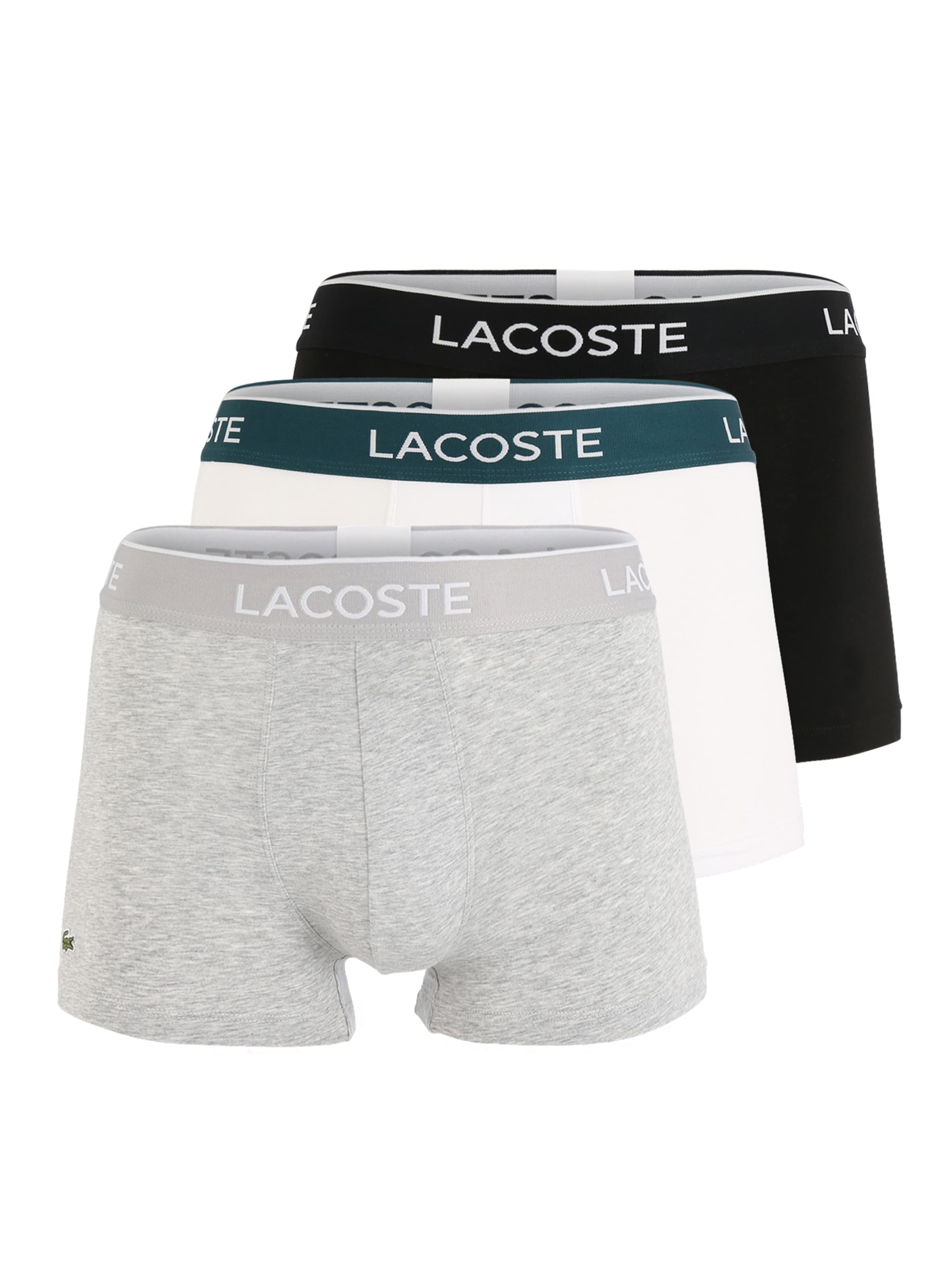 LACOSTE Boxer shorts in Grey: front