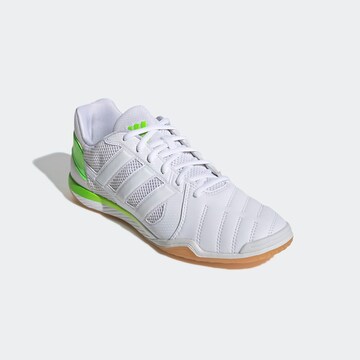 ADIDAS PERFORMANCE - Zapatillas de fútbol en blanco