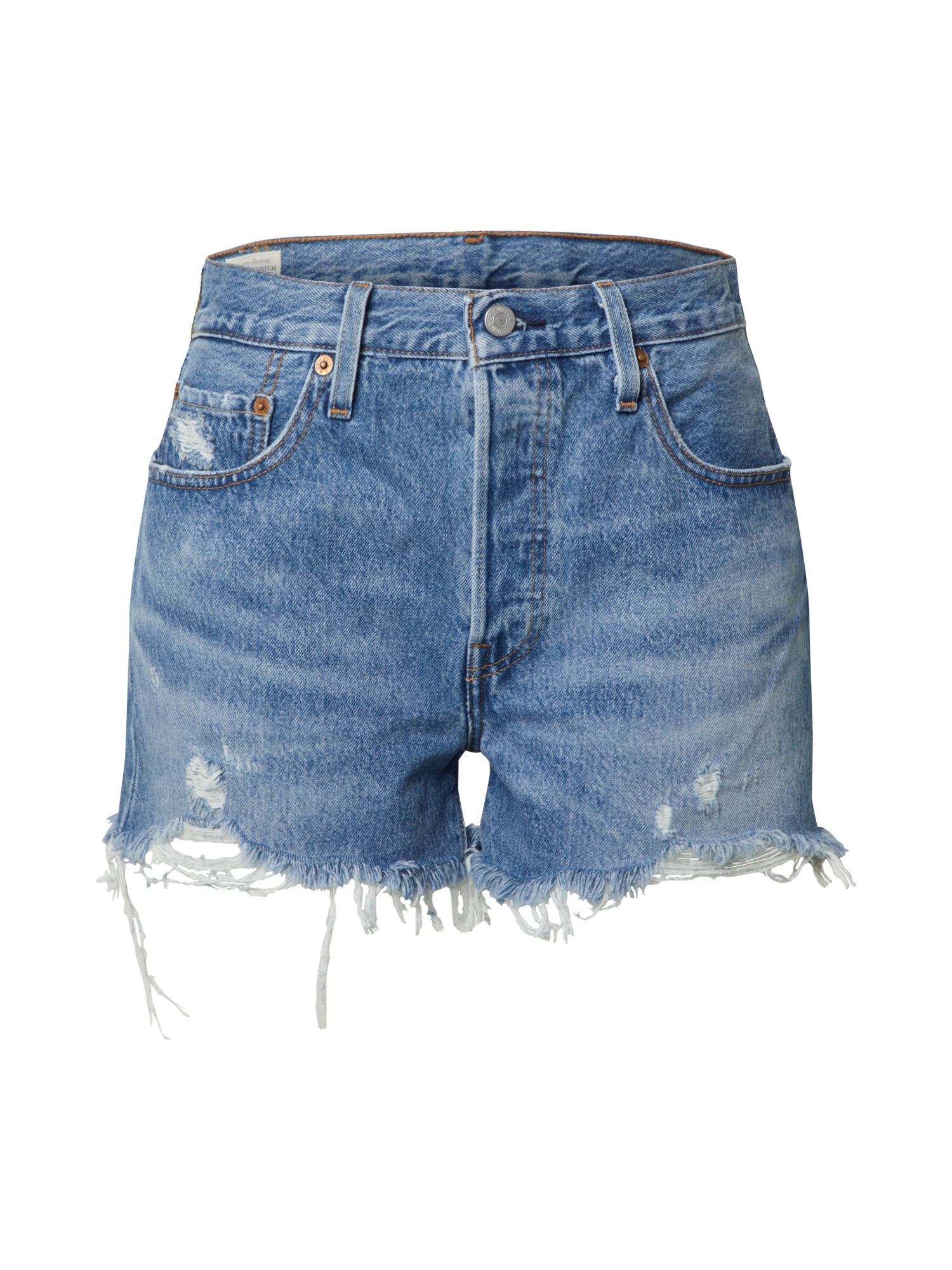 Abbigliamento Taglie comode LEVIS Jeans 501® in Blu 