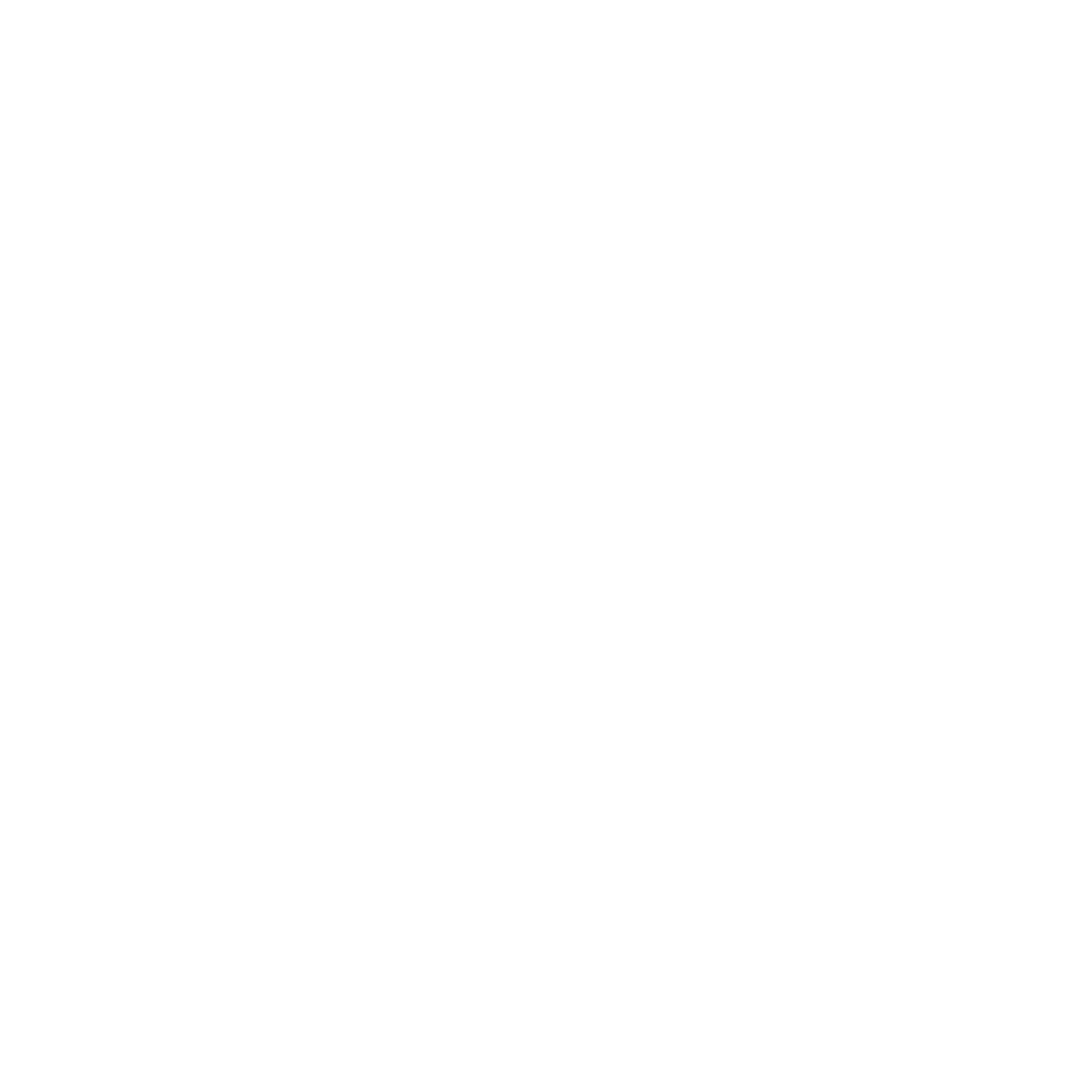 Forever New Logo