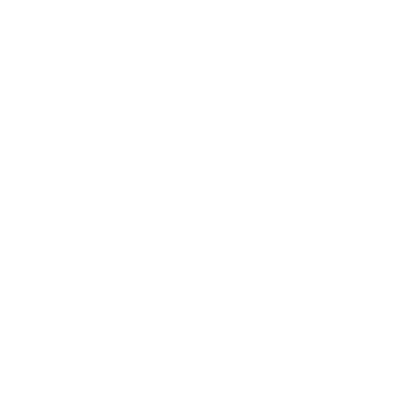 Forever New Logo