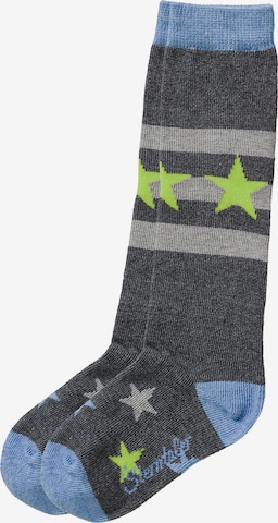 STERNTALER Socks in Grey