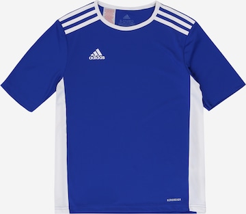 ADIDAS PERFORMANCE Funktionsshirt 'Entrada 18' in Blau: predná strana