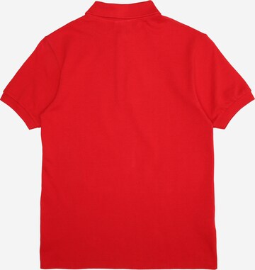 T-Shirt LACOSTE en rouge