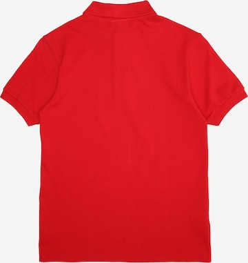 LACOSTE T-shirt i röd