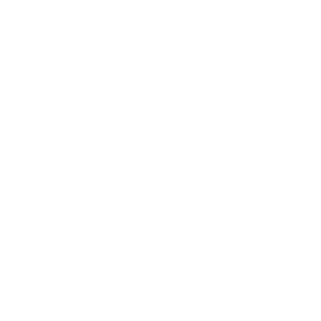 FANTASTIC REALITY STUDIOS Logo