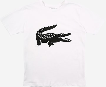 T-Shirt LACOSTE en blanc : devant