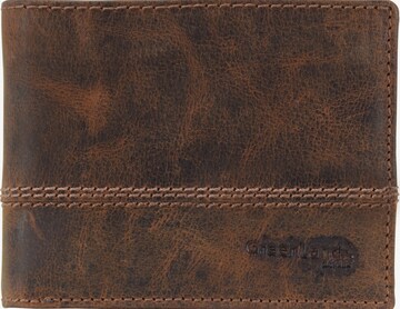 Greenland Nature Wallet in Brown: front