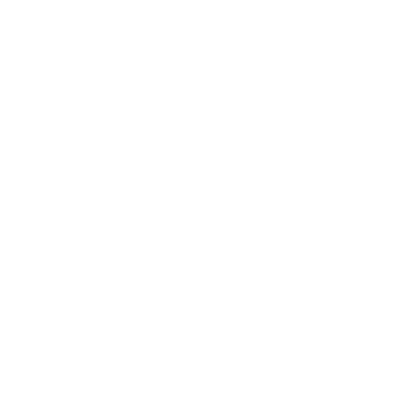 Sofie Schnoor Logo