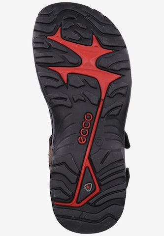 ECCO Sandale 'Offroad' in Braun