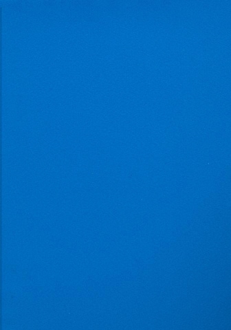 VENICE BEACH Τρίγωνο Μπικίνι σε μπλε