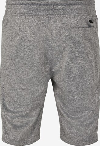 SOUTHPOLE Regular Shorts in Grau