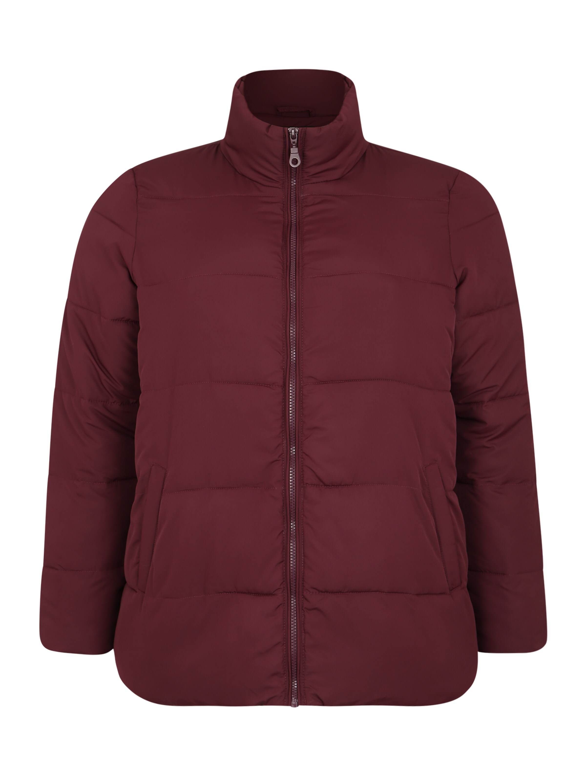 Zizzi - Winterjas 'ELMA' in de kleur Bordeaux