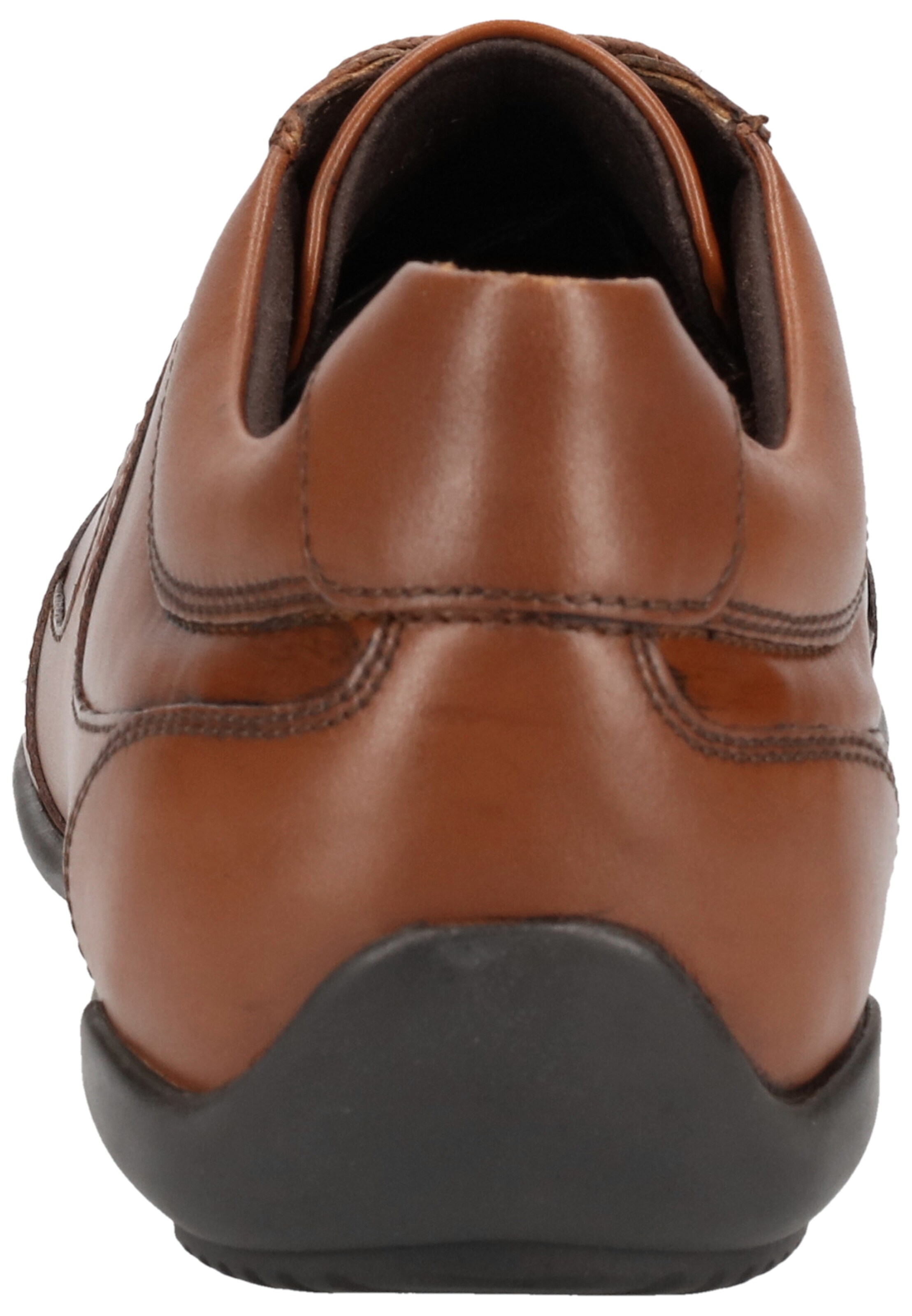 GEOX Sneaker 'Edgeware' in Braun