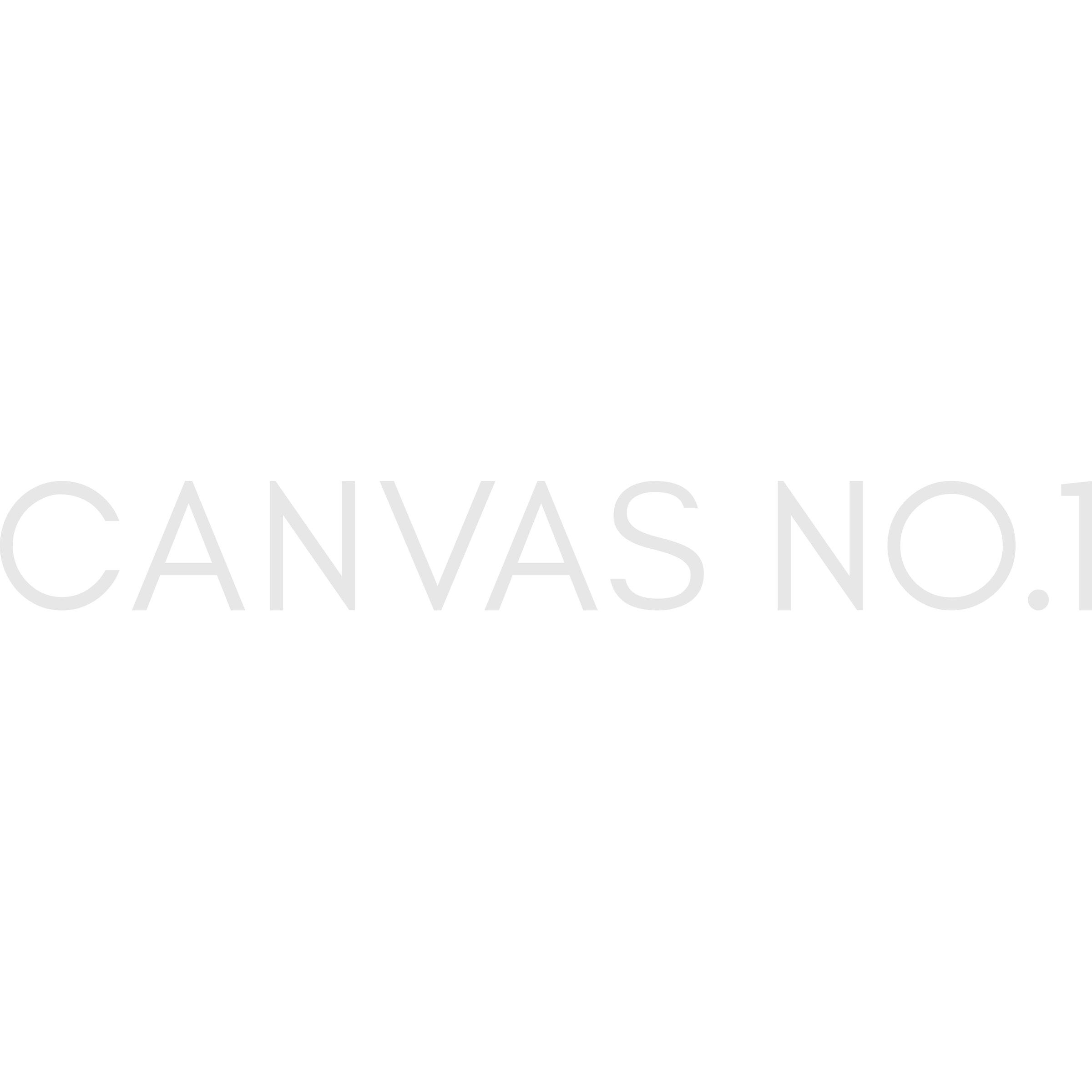 Canvas n.1 Logo