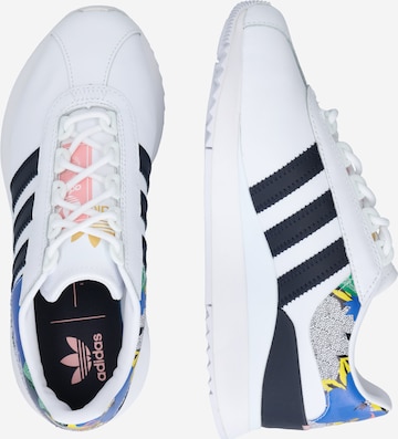 ADIDAS ORIGINALS Nizke superge 'Andridge' | bela barva