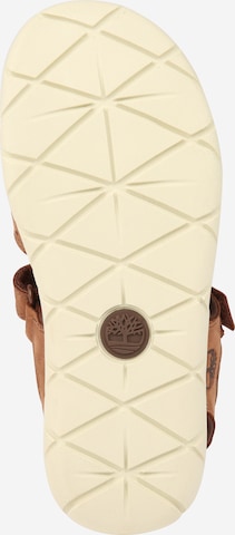 TIMBERLAND Sandals & Slippers in Brown