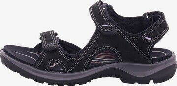 ECCO Hiking Sandals 'Offroad' in Black